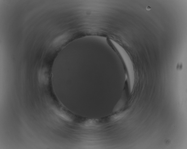 X0000092320080200709281415
