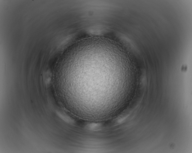 X0000092320081200709281415