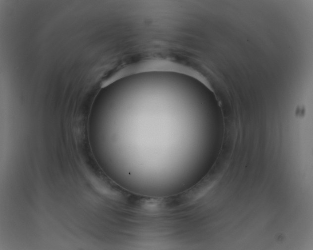 X0000092320088200709281415