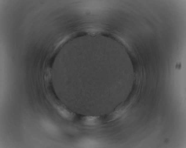 X0000092320093200709281415