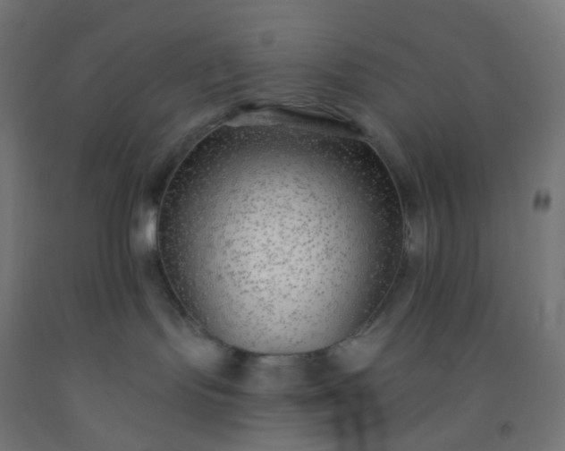 X0000092320095200709281415