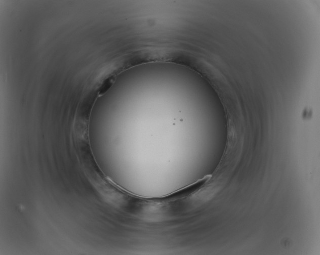 X0000092320096200709281415