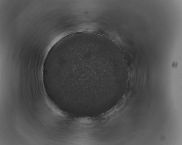 X0000092320100200709281414