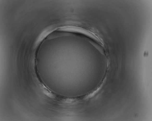 X0000092320101200709281414
