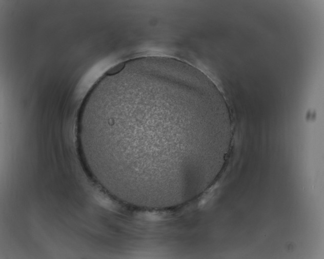 X0000092320103200709281414