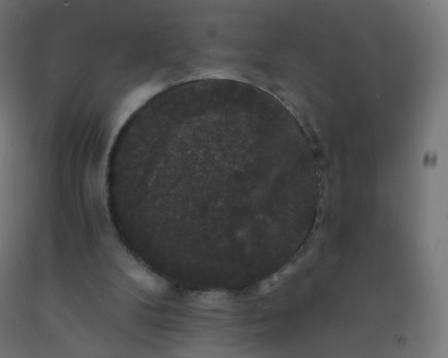X0000092320104200709281414
