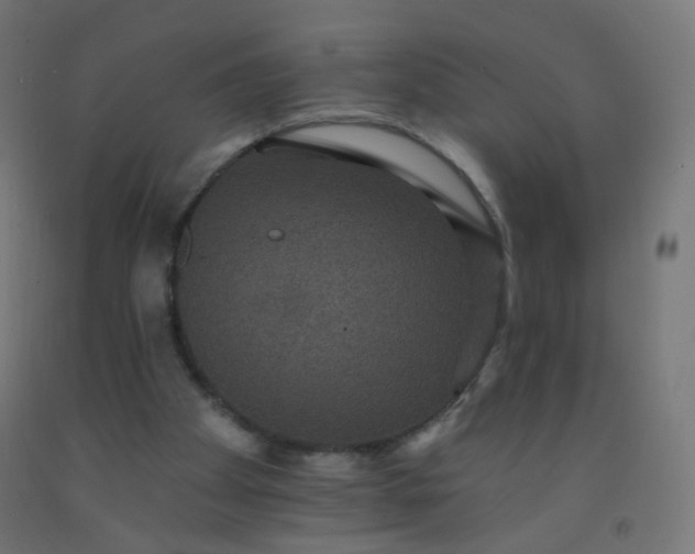 X0000092320105200709281414