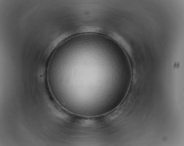 X0000092320107200709281414