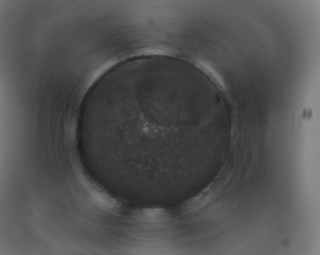 X0000092320108200709281414