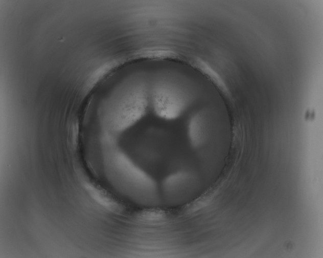 X0000092320110200709281414
