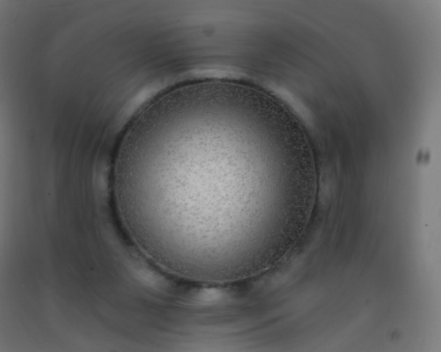 X0000092320111200709281414