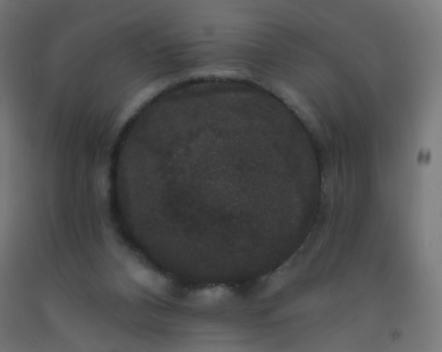 X0000092320112200709281414