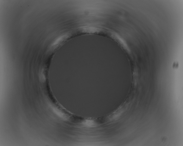 X0000092320114200709281414