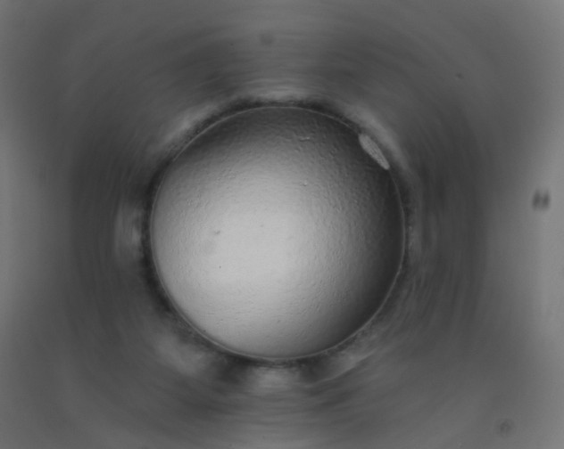 X0000092320115200709281414