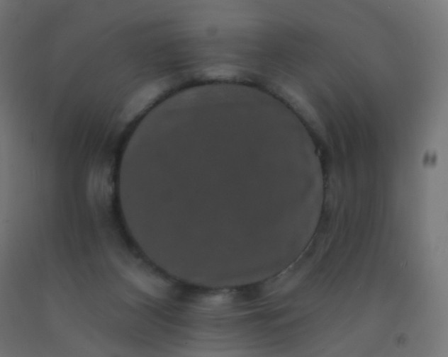 X0000092320116200709281414