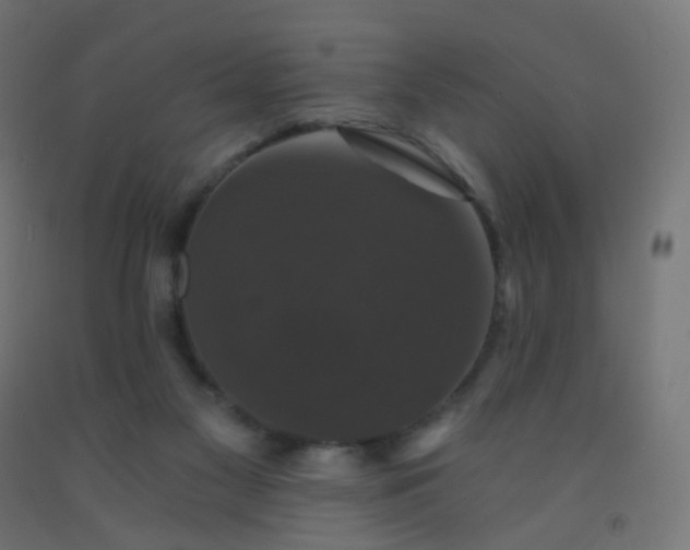 X0000092320117200709281414
