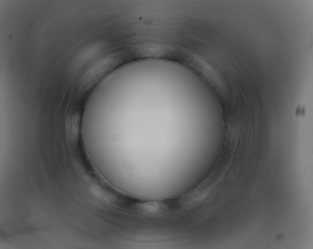 X0000092320118200709281414