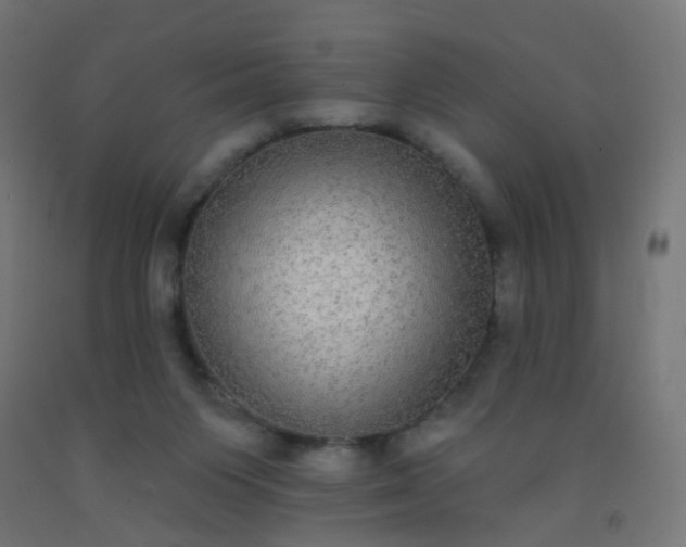 X0000092320119200709281414