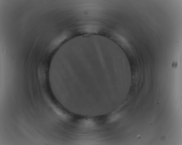 X0000092320120200709281414