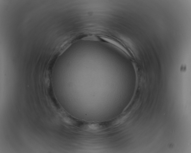 X0000092320121200709281414