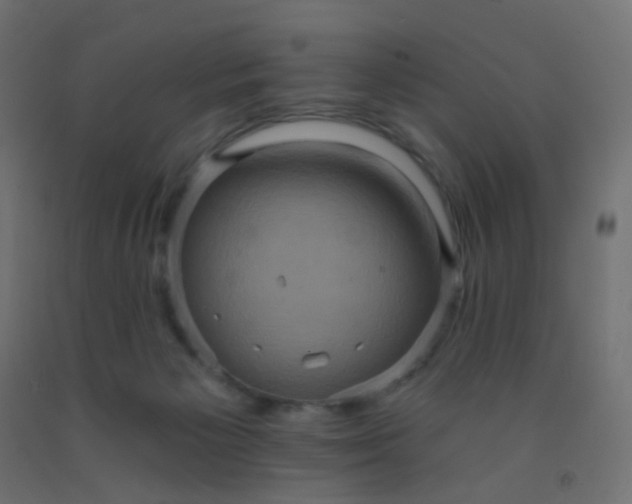 X0000092320125200709281414