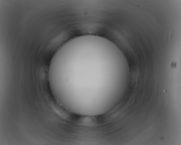 X0000092320126200709281414