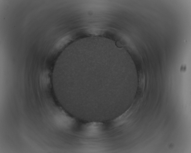 X0000092320128200709281414