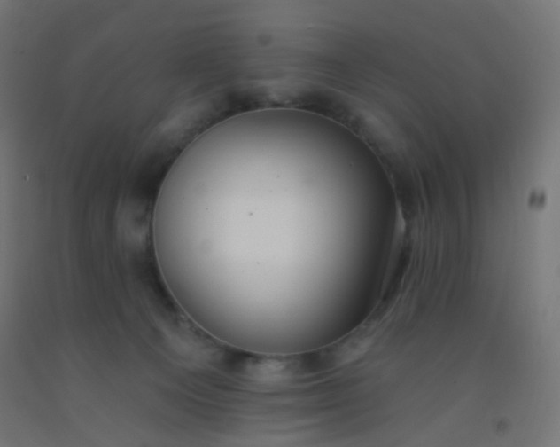X0000092320129200709281414