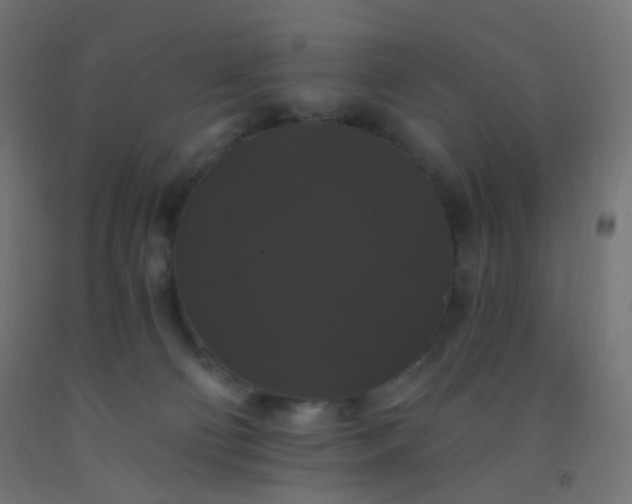 X0000092320130200709281414