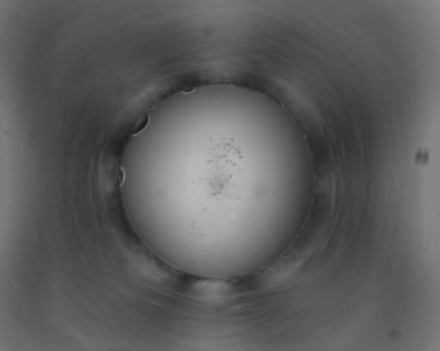 X0000092320133200709281414