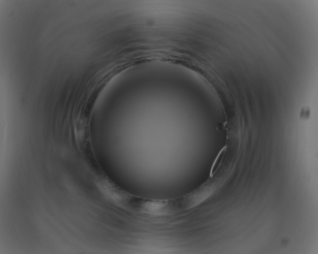 X0000092320139200709281413