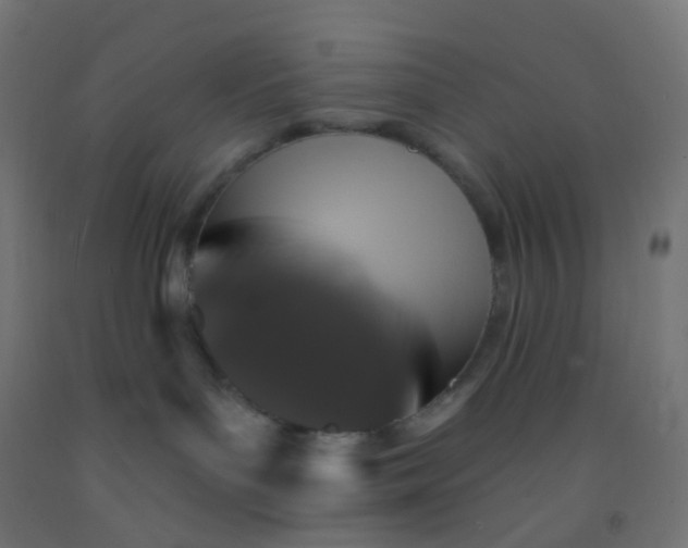 X0000092320143200709281413