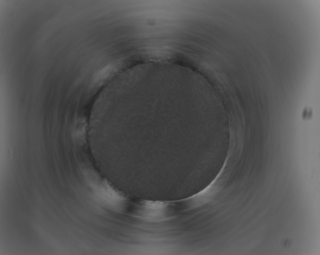 X0000092320144200709281413
