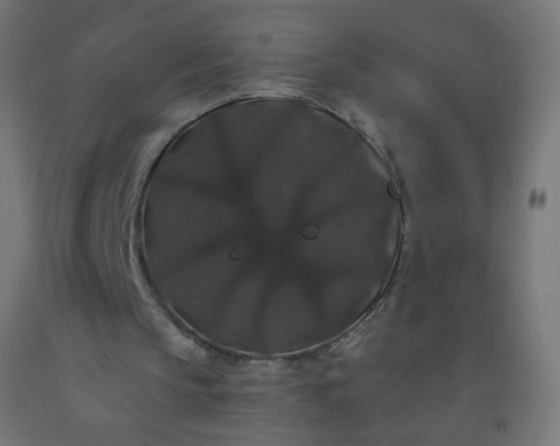 X0000092320145200709281413