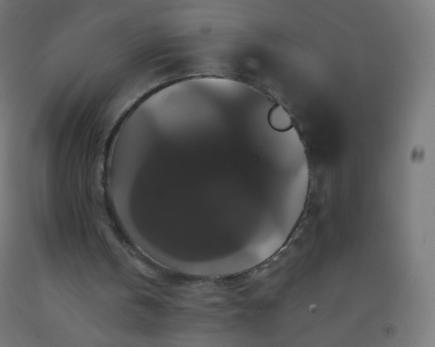 X0000092320146200709281413