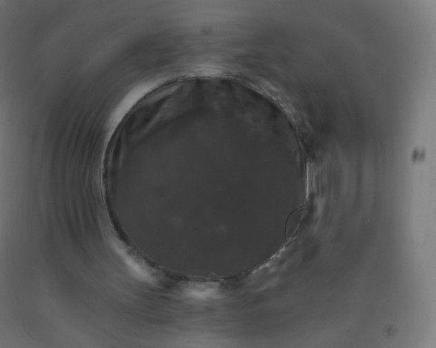 X0000092320147200709281413