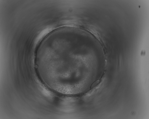 X0000092320149200709281413