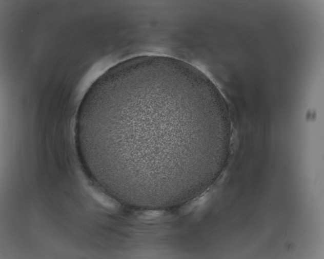 X0000092320151200709281413