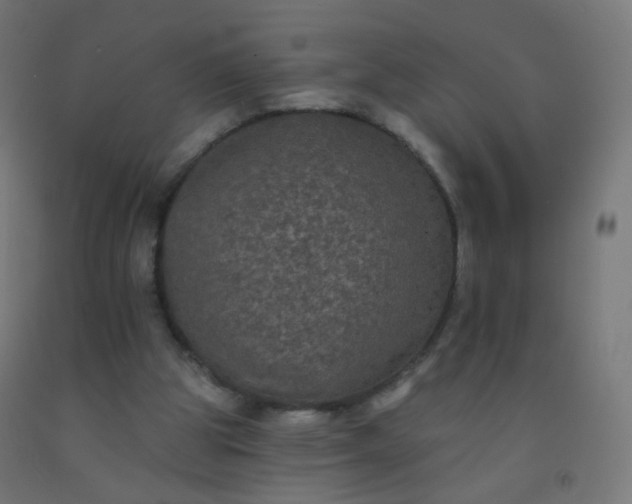 X0000092320153200709281413