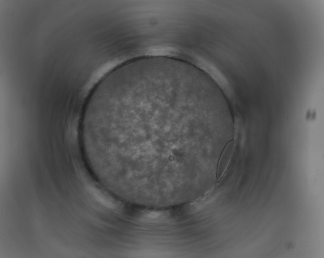 X0000092320155200709281413