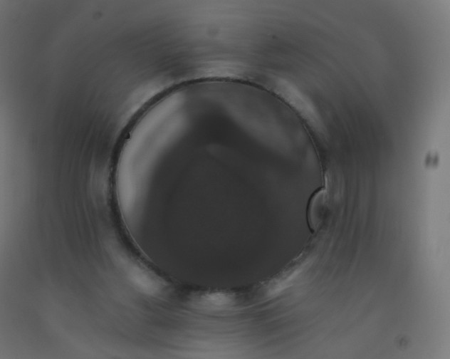 X0000092320156200709281413