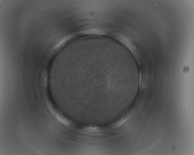 X0000092320157200709281413