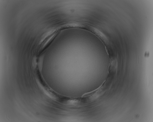 X0000092320158200709281413