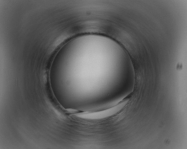 X0000092320160200709281413