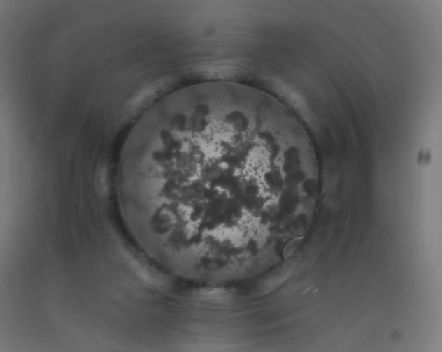 X0000092320161200709281413