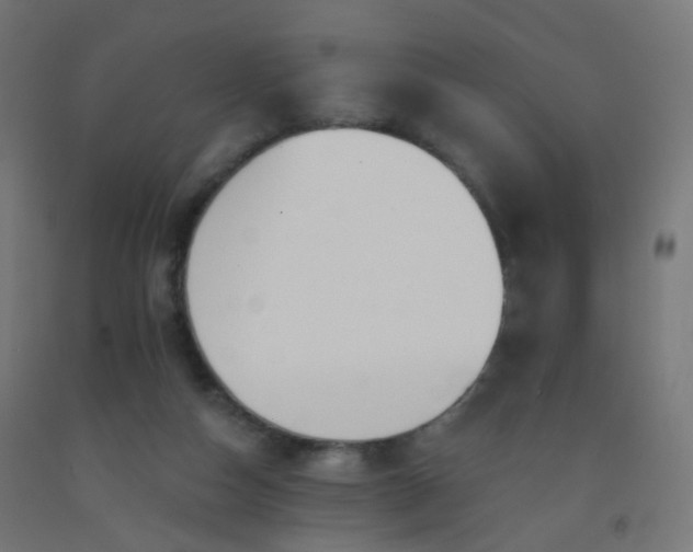 X0000092320162200709281413