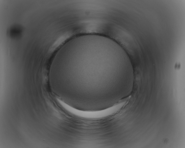 X0000092320164200709281413