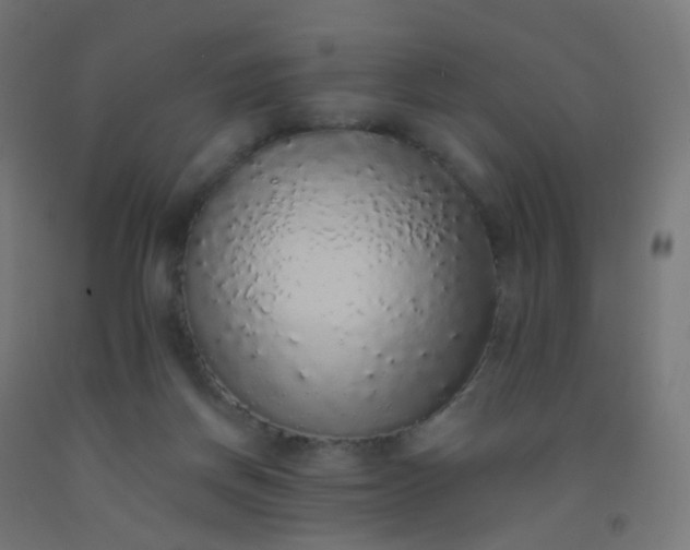 X0000092320166200709281413
