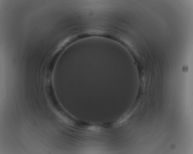 X0000092320168200709281413