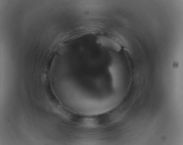 X0000092320169200709281413